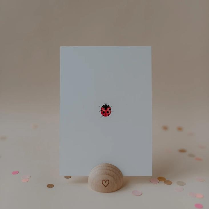 VORBESTELLEN: CA. MITTE SEPTEMBER WIEDER LIEFERBAR: AQUARELL MARIENKÄFER (LADYBUG)
