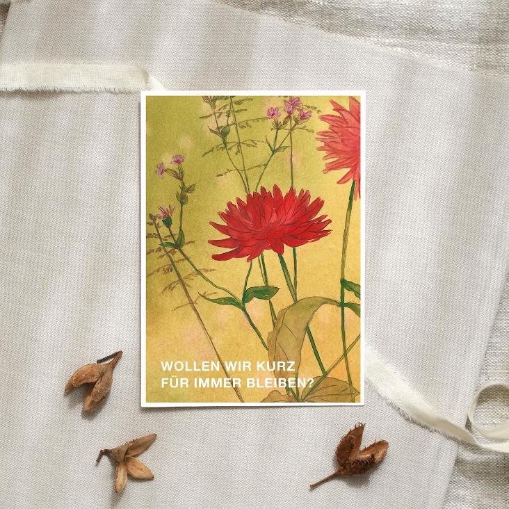 NEU: WILDFLOWERS / WOLLEN WIR KURZ FÜR IMMER BLEIBEN - 0