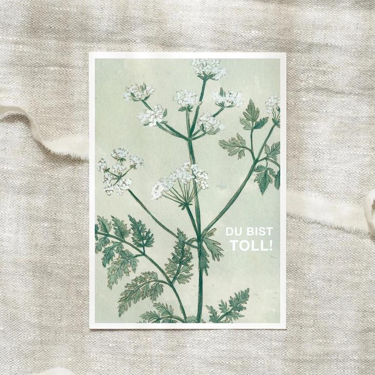 NEU: WILDFLOWERS / DU BIST TOLL - 0