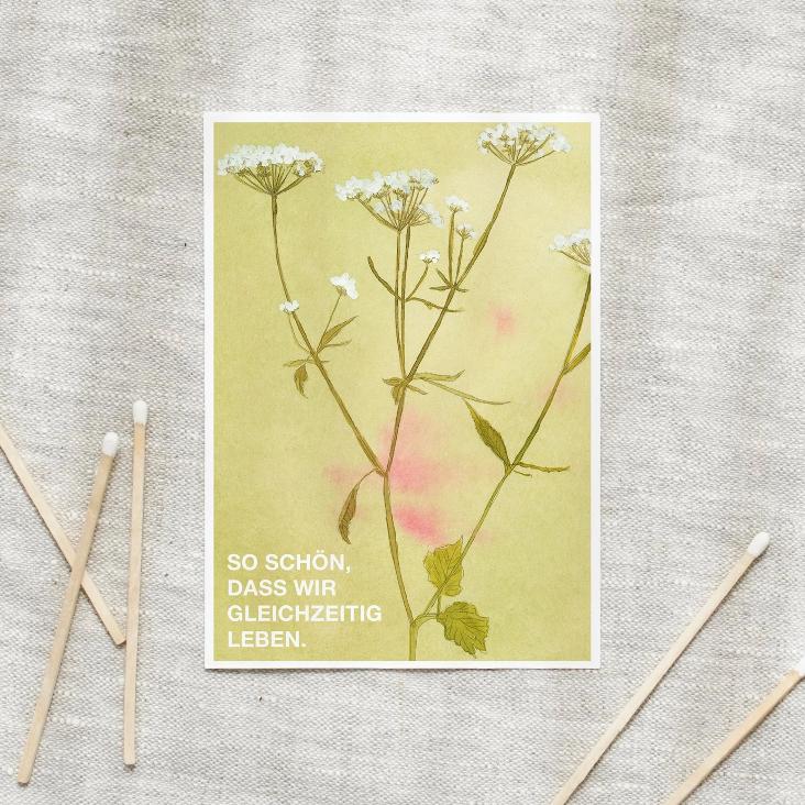 NEU: WILDFLOWERS / SO SCHÖN DASS WIR GLEICHZEITIG LEBEN