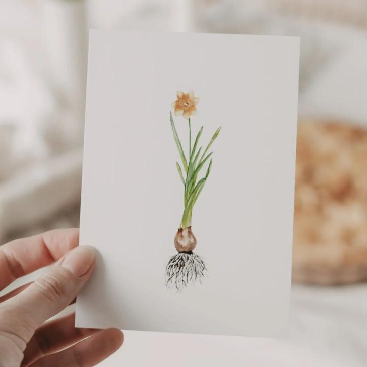 AQUARELL DAFFODIL