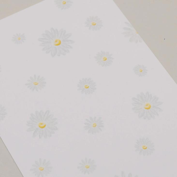 NEU: VORBESTELLEN: BALD LIEFERBAR: AQUARELL DAISIES - 0