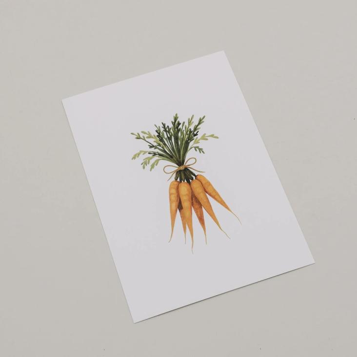 AQUARELL KAROTTEN