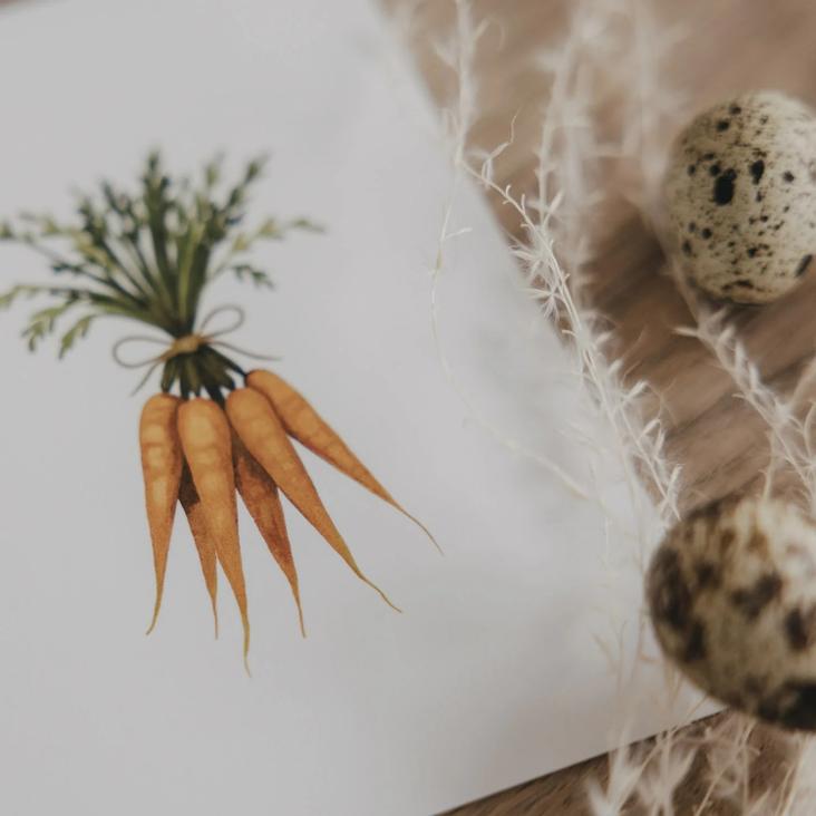 NEU: VORBESTELLEN: AB CA.6.3 LIEFERBAR: AQUARELL KAROTTEN - 0