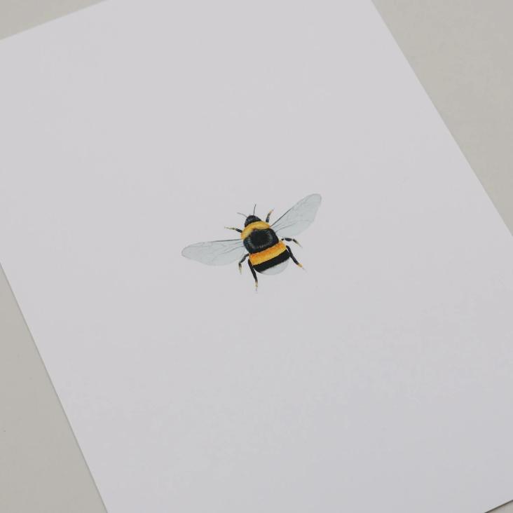 AQUARELL BIENE (BEE) - 0