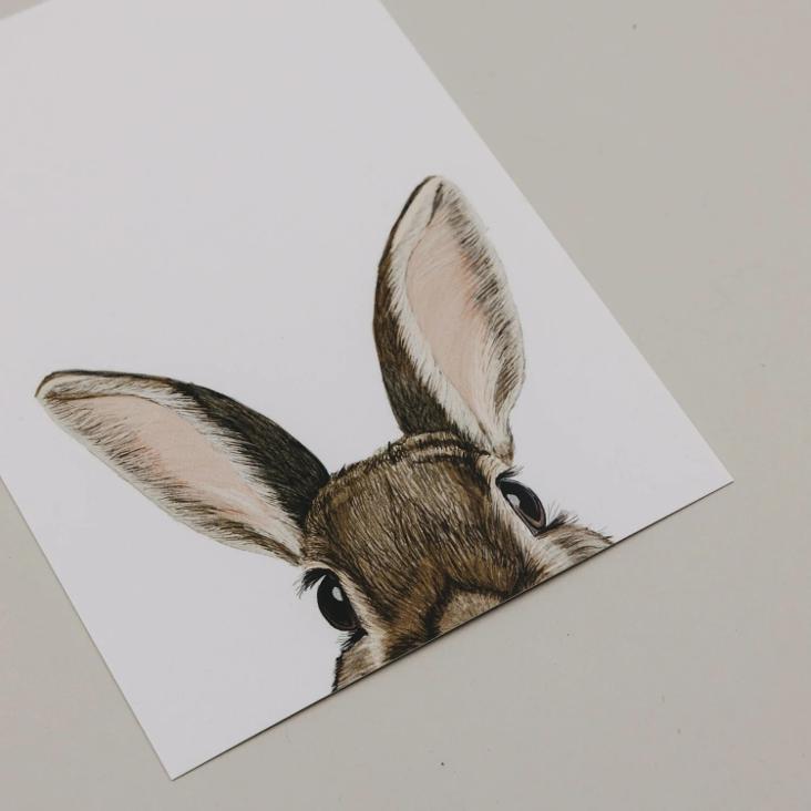 AQUARELL HASE - 1