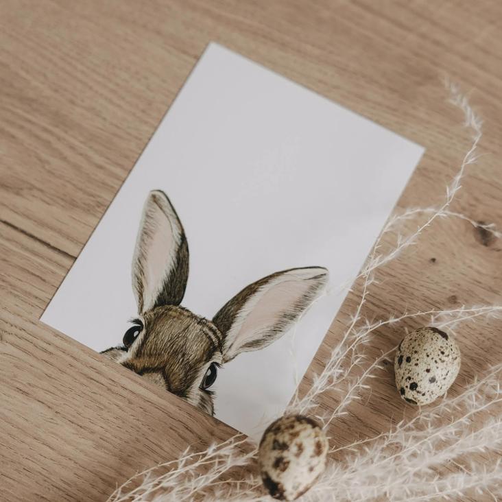 NEU: AQUARELL HASE - 0