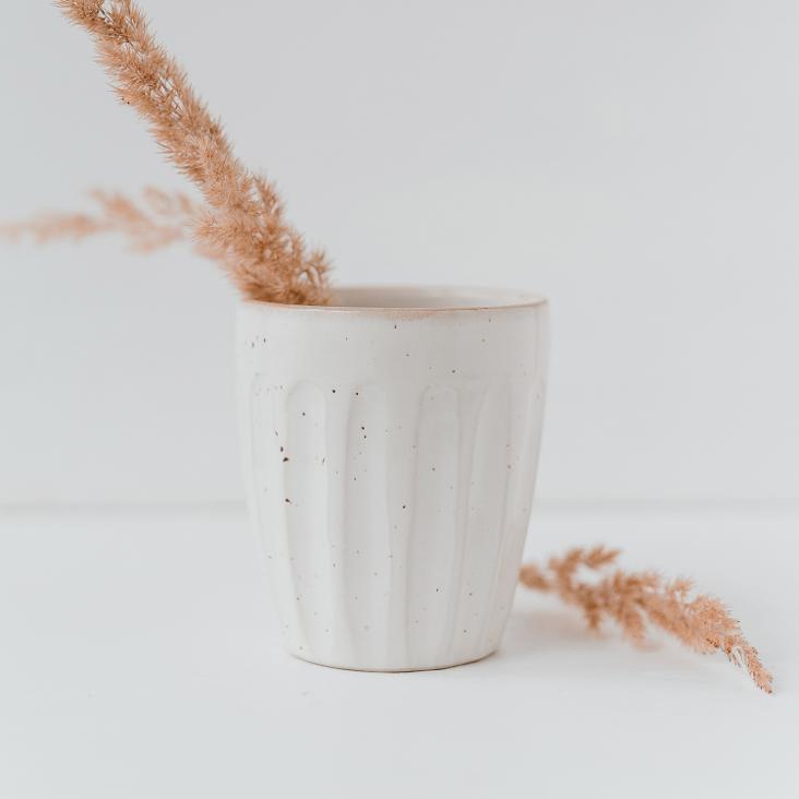 BECHER COLINA
