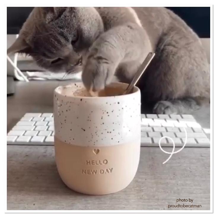 BECHER HELLO NEW DAY - 3