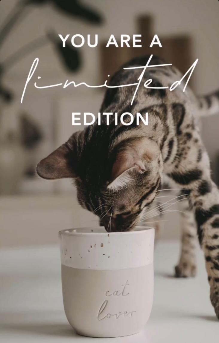 LIMITED EDITION: BECHER CAT LOVER