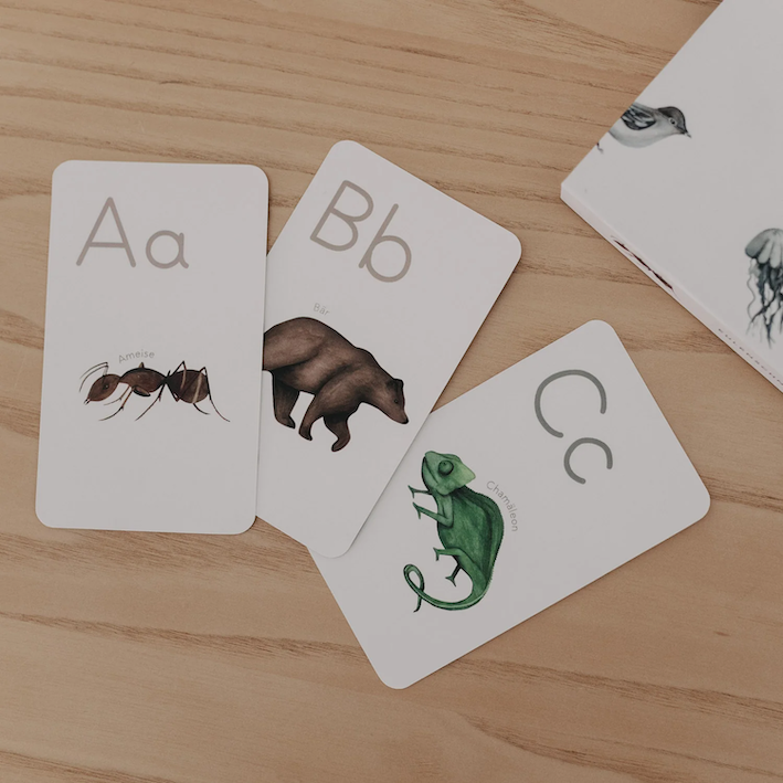 VORBESTELLEN: DEMNÄCHST LIEFERBAR: ABC KARTEN - 2