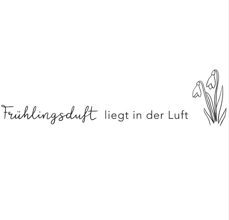 FRÜHLINGSDUFT LIEGT IN DER LUFT (SCHWARZ) - 0